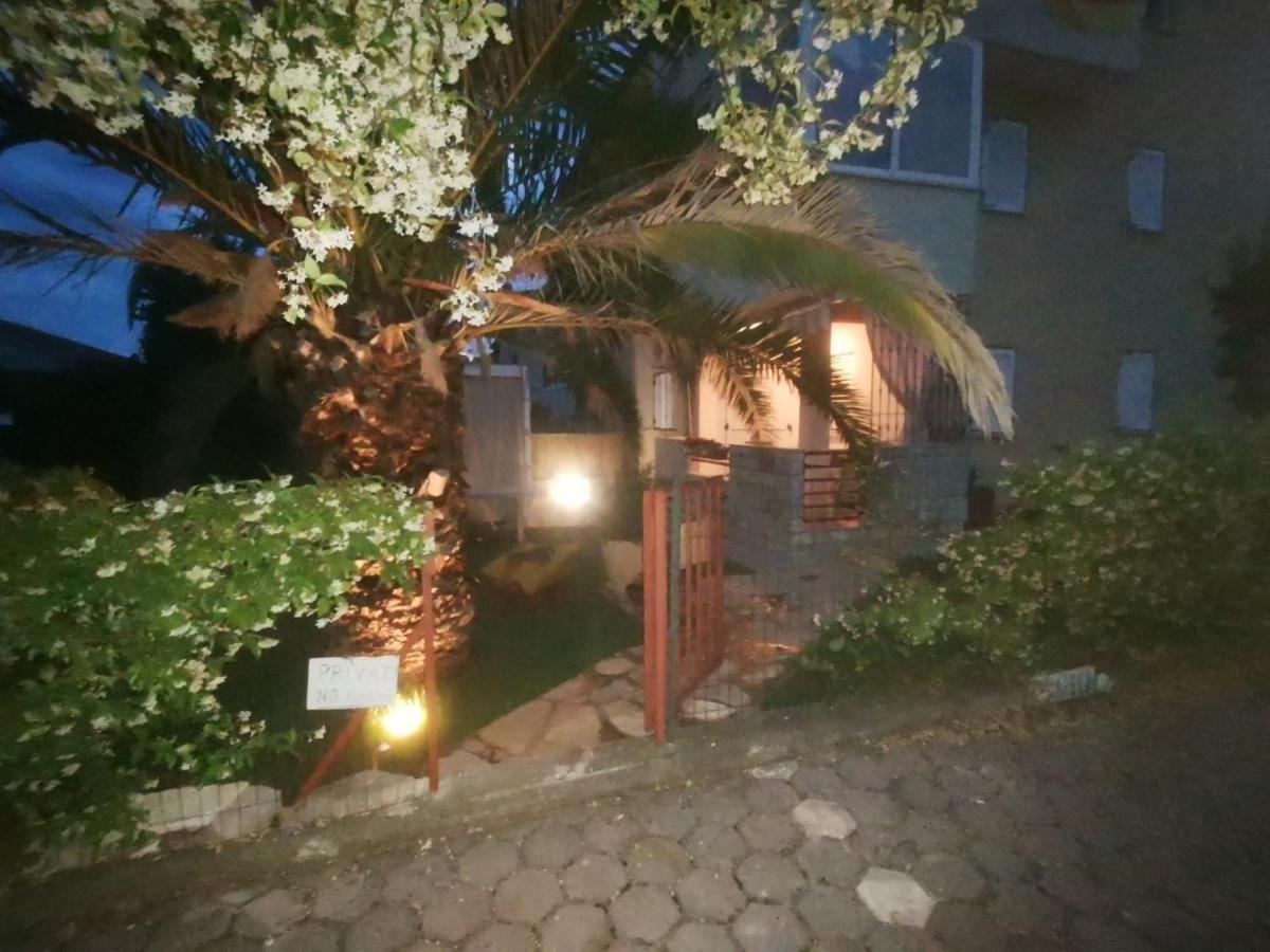 Apartman Hola Novigrad  Bagian luar foto