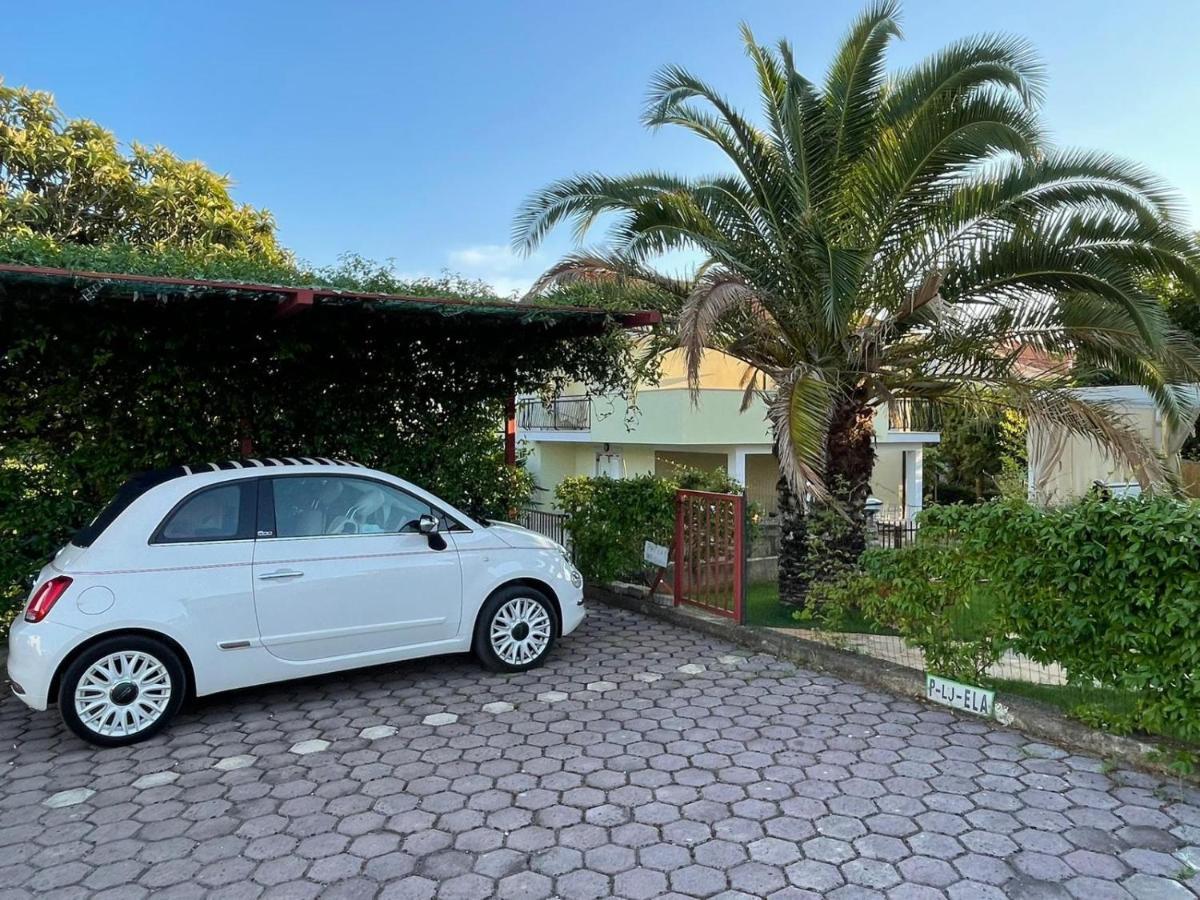 Apartman Hola Novigrad  Bagian luar foto
