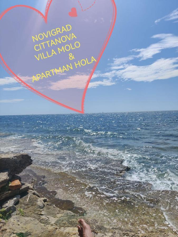 Apartman Hola Novigrad  Bagian luar foto